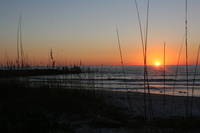 Pass a Grille beach south end. Canon 20D digital SLR 8.2.