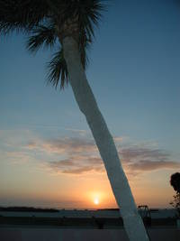 take Feb. 2005 behind what was the Fargo Motel at Treasure Island